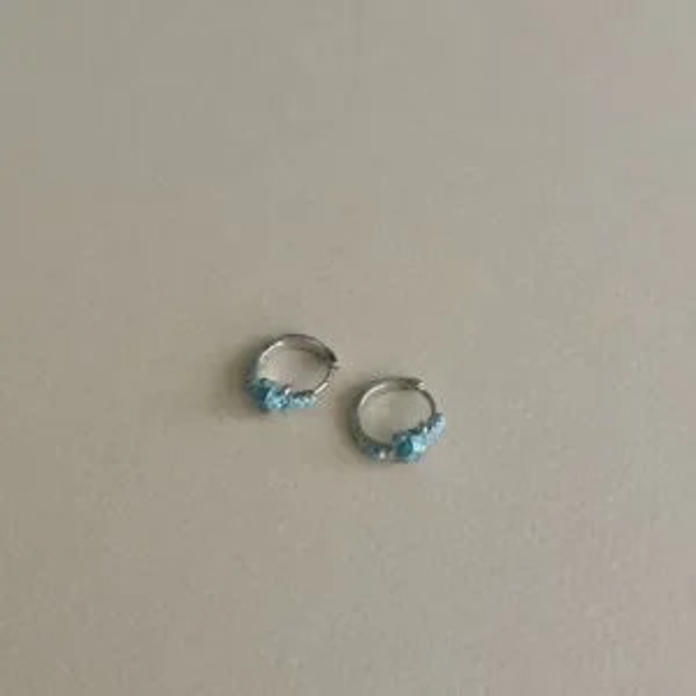 Turtle Hoop Earrings?N1834